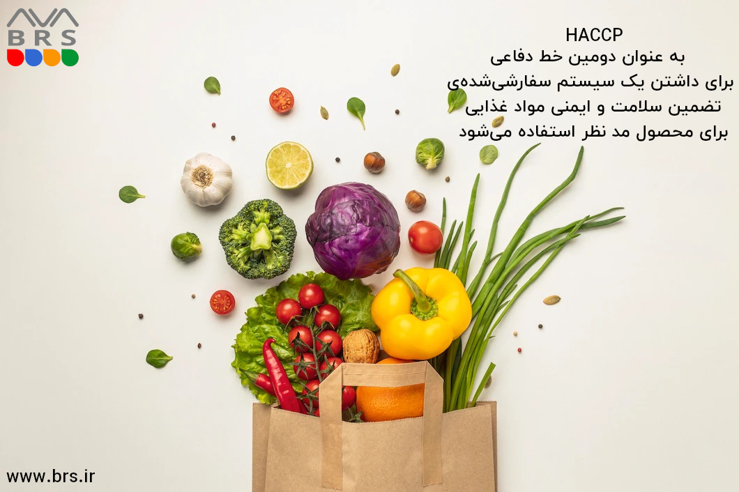 دومین خط دفاعی