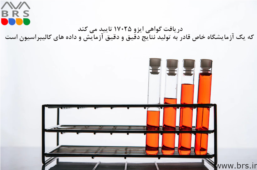 گواهینامه ایزو ۱۷۰۲۵
