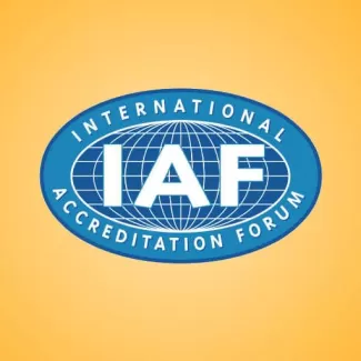 انجمن بین المللی اعتبار بخشی