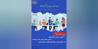 تربیت ممیزان خبره سیستمی