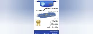 دوره MBA مدیریت سیستم ها