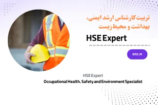 HSE Expert