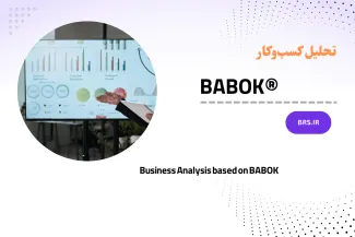 Business Analysis based on BABOK
